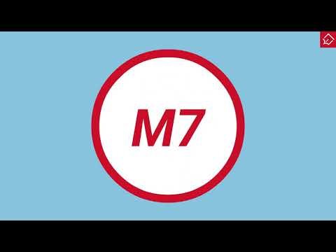 Here's Everything You Need to Know About M7!